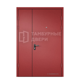 Дверь большая порошок ТД-201